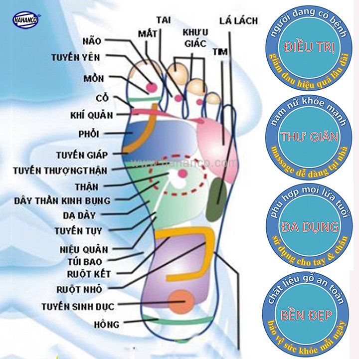 Cây lăn mát xa mặt mũi bằng gỗ thơm - kích thích các huyệt đạo massage gỗ