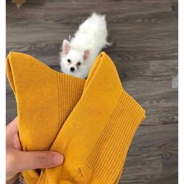 Vớ Len Gân Nam Nữ Basic Unisex nhiều màu chất dày dặn