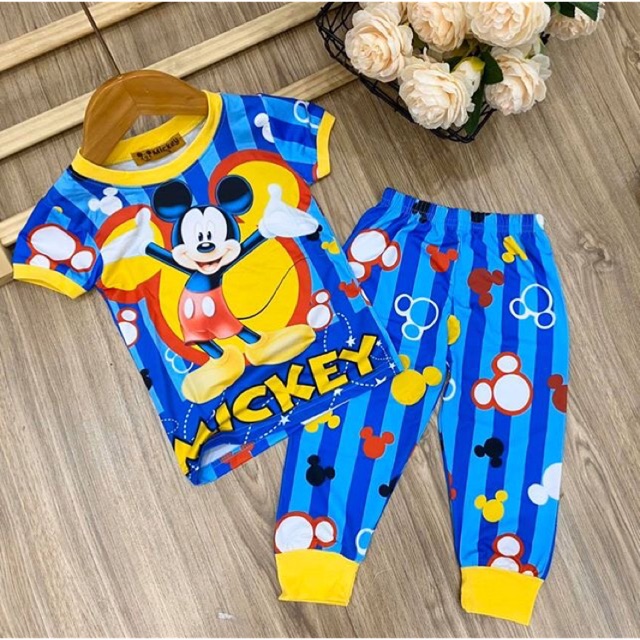 LOẠI 1 Bộ Thun Lạnh 3D Siêu Mát ngắn tay quần dài sỉ quần áo cho bé hồ chí minh Pikakids