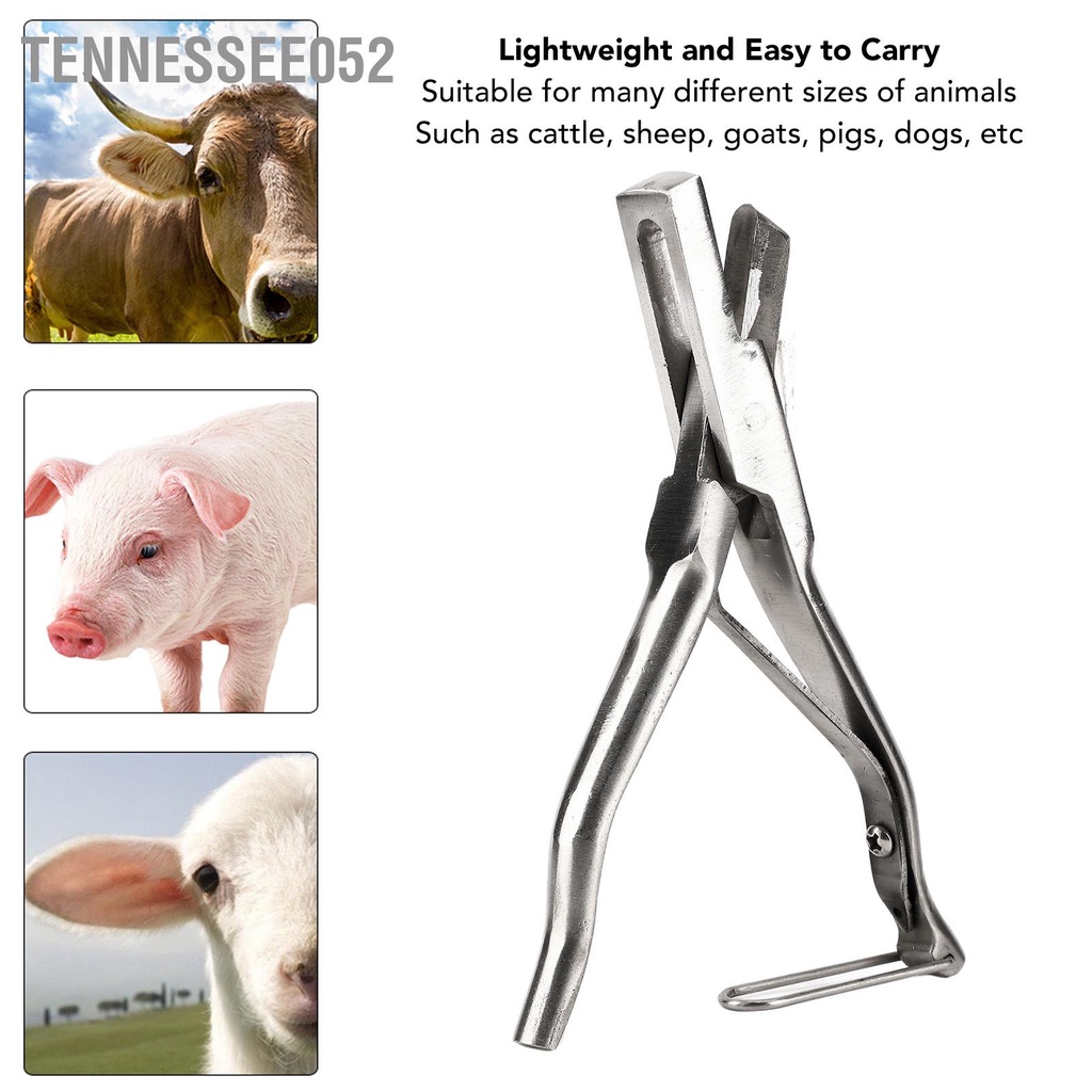 Tennessee052 Thẻ đeo thẻ tai lợn Kìm bấm lỗ động vật bằng thép không gỉ với khóa an toàn để nhận dạng dê cừu gia súc