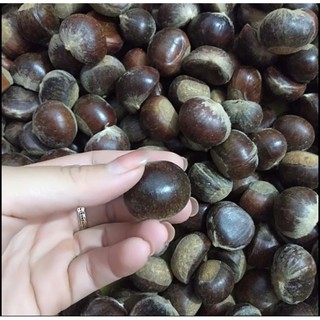 1KG HẠT DẺ TRÙNG KHÁNH