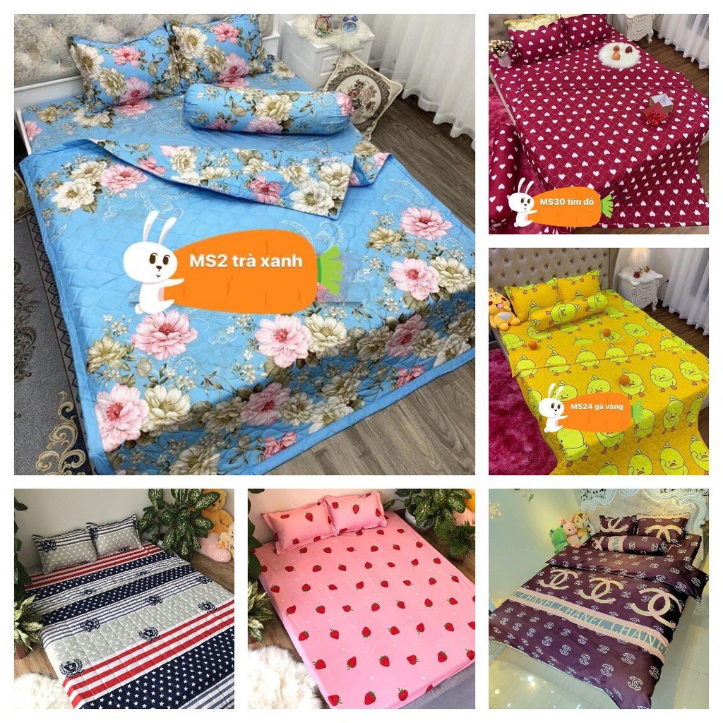 Bộ ga gối Coton Poly Hàn,đa dạng mẫu, kích thước 1m8,2m