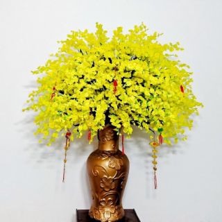 Vũ nữ vải 1 bó 10 cành