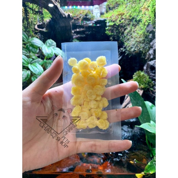 Snack bắp dẹp cho hamster