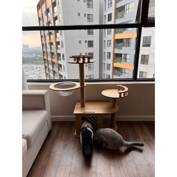 Nhà cây cho mèo kết hợp trụ cào loại đẹp