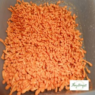 500g nấm đông trùng hạ thảo - trắng dương bổ thận