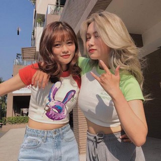 Áo croptop body ôm tay ngắn cổ tròn hình thỏ VST