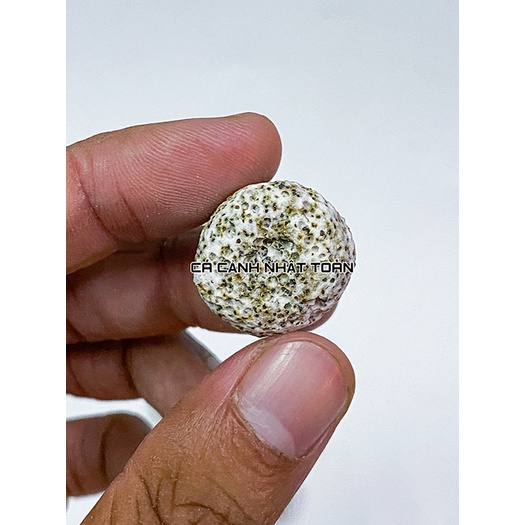 SỨ LỌC VIÊN SỨ TRẮNG BI MÈ VẬT LIỆU LỌC CHO BỂ CÁ CẢNH