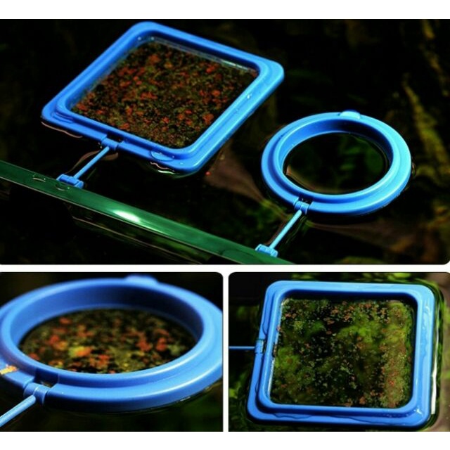 Khay Nổi Vuông/Tròn Cho Cá Ăn Gắn Bể Cá - Vòng Giữ Thức Ăn Cho Cá
