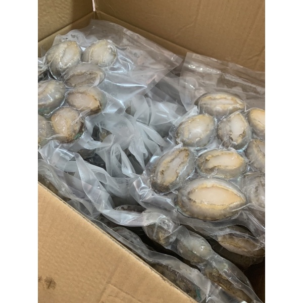 BÀO NGƯ SIZE 18-20 CON 1KG