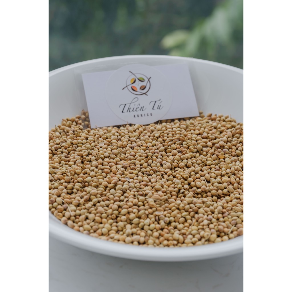 GIA VỊ HẠT NGÒ (RAU MÙI) LỚN 100GR | BigBuy360 - bigbuy360.vn