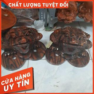 Cóc gỗ xà cừ