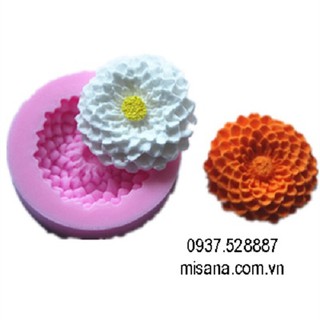 Khuôn silicon 3D hình hoa cúc nhiều cánh nhỏ