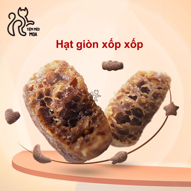 Snack cho mèo - Bánh làm sạch răng 4 hương vị - Tiệm Mèo Moa