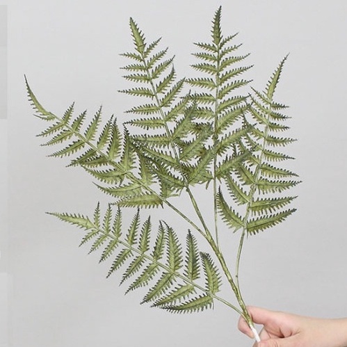 LÁ CÂY DECOR SÂN KHẤU, ĐÁM TIỆC, CỬA HÀNG,NHÀ ĐẸP lá dừa, dương xỉ, bạch đàn, tươi mát không gian sống