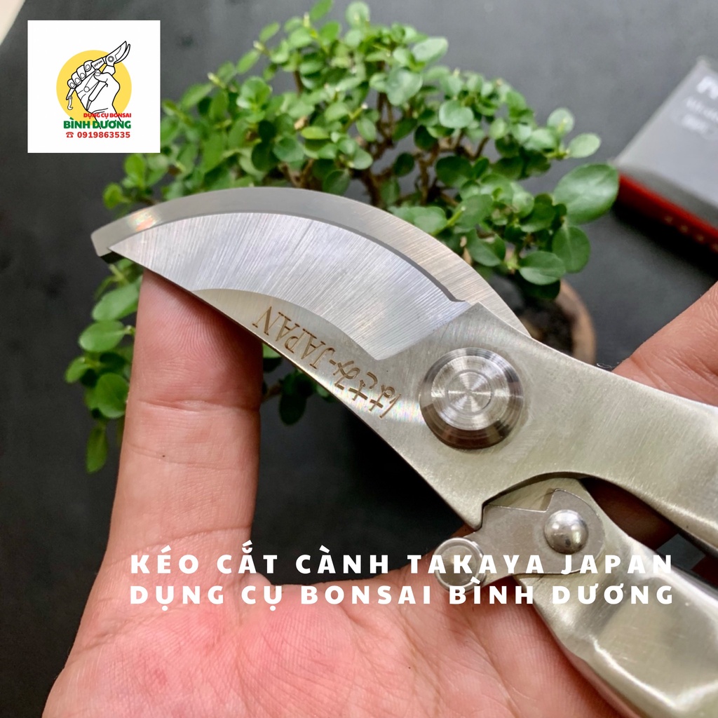 KÉO CẮT CÀNH TAKAYA JAPAN  - KÉO CẮT CÀNH CÂY CẢNH BONSAI TAKAYA JAPAN
