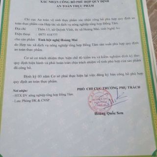 Nạ yến mạch tinh nghệ Handmade