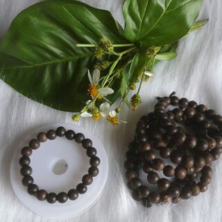 VÒNG DÂU RỪNG NGHÌN NĂM CHO BÉ 8 LY 18 HẠT