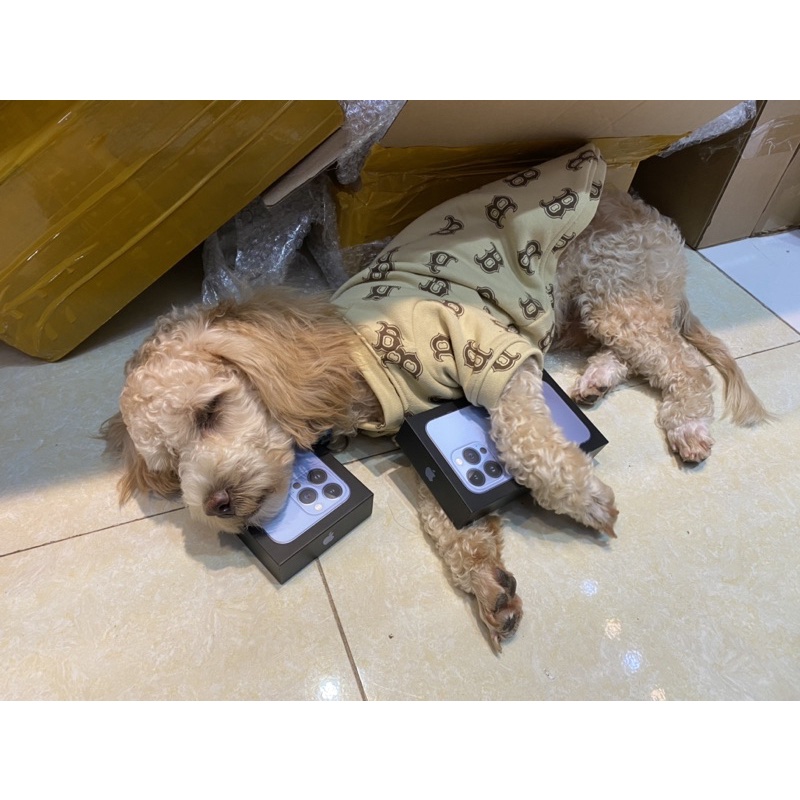 Áo NY cho chó mèo