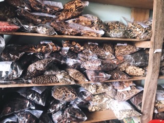 ☘️💥SÂM Ô LINH rừng 100gr 🌴🍀