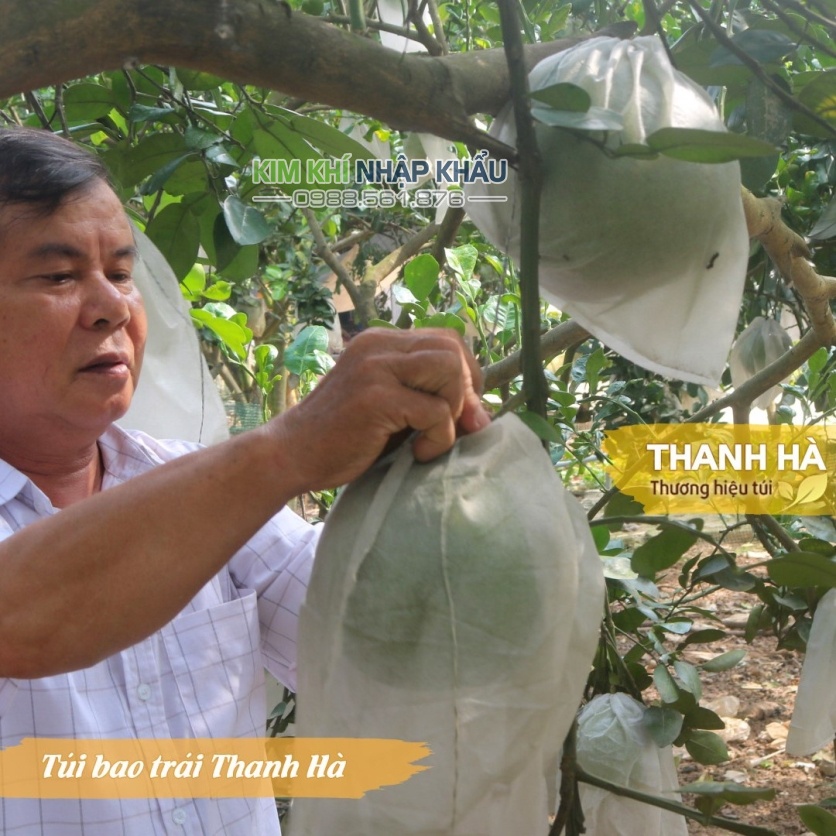 Bao bọc bưởi, túi bao trái cây bền đẹp, chống côn trùng hiệu Thanh Hà kích thước 30x35cm