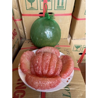 Bưởi da xanh Bến Tre