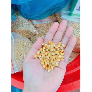 bắp rang bơ 2 kg và 1,5 kg bơ