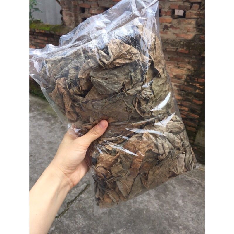1kg  Lá Trầu Không phơi khô giúp se khit.kháng khuânn