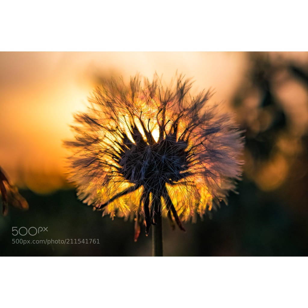 Bộ máy ảnh không gương lật  Canon EOS M5 kèm ống kính Canon EF-M 15-45mm F3.5-6.3 IS STM nhỏ gọn, tiện dụng