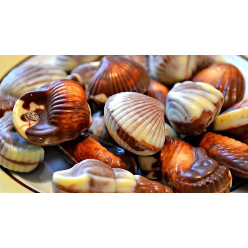 Socola cao cấp hình sò biển Guylian của Đức thơm ngon