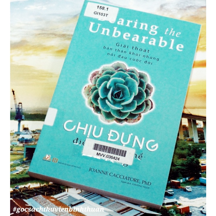 Sách - Chịu Đựng Điều Không Thể Chịu Đựng (Joanne Cacciatore, PhD- Văn Lang)