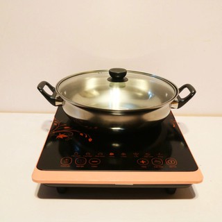 Bếp từ FUJIKA BT1920
