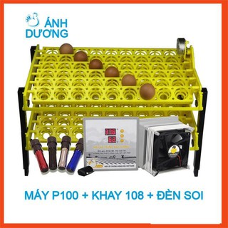 Máy ấp trứng mini Ánh Dương P100 khay đảo trứng gà tự động 108 quả - Kèm quà tặng, tự lắp ráp vào thùng xốp