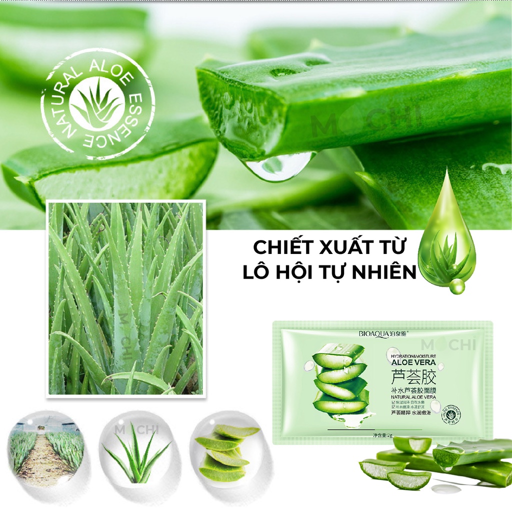 Mặt Nạ Ngủ Thạch Lô Hội l Nha Đam Dưỡng Trắng Da Cấp Ẩm Se Khít Ngừa Mụn Mask Gel Aloe Vera Bioaqua Nội Địa MOCHI SHOP