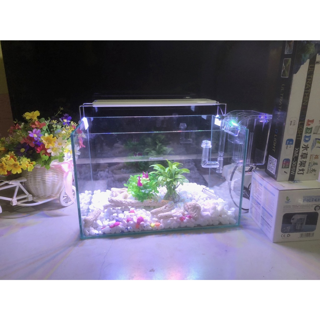 Hồ cá, bể cá cảnh thủy sinh FULL COMBO 6 món phụ kiện D32 R20 H20