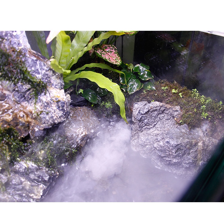 Máy Phun Sương Tạo Độ Ẩm Cho Bể Cá Mini DC 24V/1A