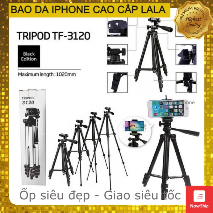 Tripod 3 chân TF-3120 máy ảnh, điện thoại | BigBuy360 - bigbuy360.vn