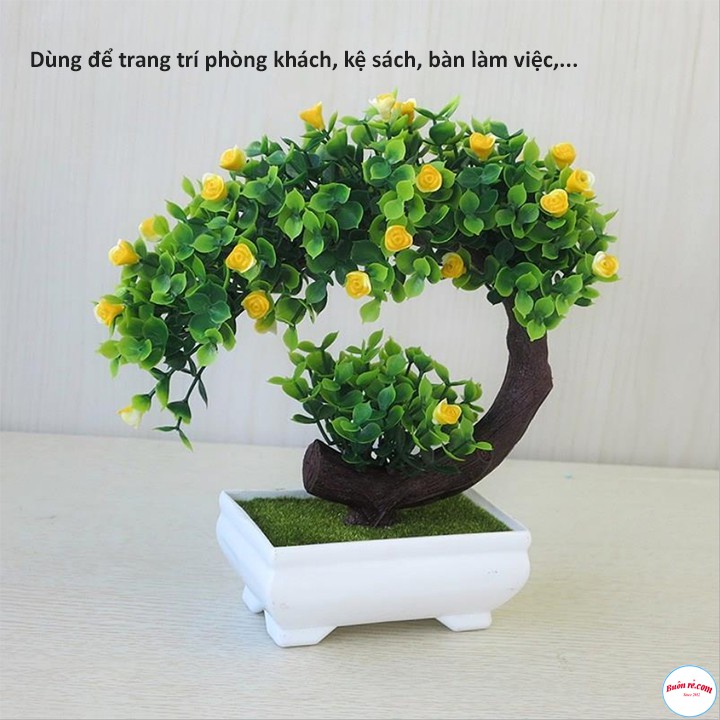 Cây bonsai nhựa phú quý cát tường tặng kèm 1 dây đèn led dùng pin siêu sáng - br00581