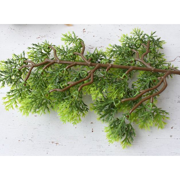Mô hình lá Tùng bách  - Tráng trí gỗ, lũa bonsai tuyệt đẹp - Hàng chất lượng cao, màu tự nhiên.