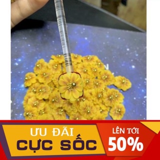 hoa hướng dương