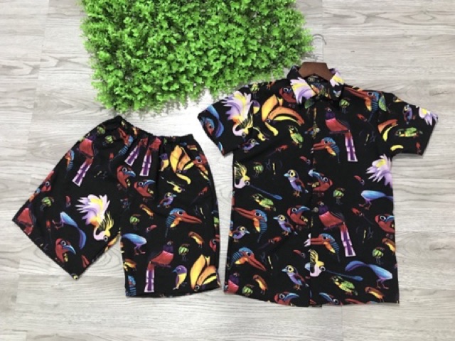 Đồ đi biển siêu hót nam nữ mặc đc chất liệu đẹp size từ 50kg đến 75kg hàng có sẵn nhận hàng nhanh chóng | BigBuy360 - bigbuy360.vn