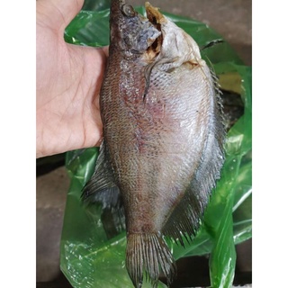 KHÔ SẶC BỔI