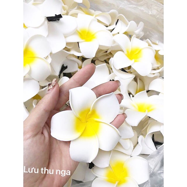 Hoa sứ cài tóc