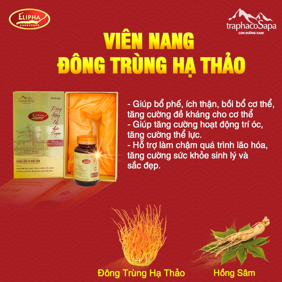 Viên nang đông trùng hạ thảo Traphaco Sapa BCA54