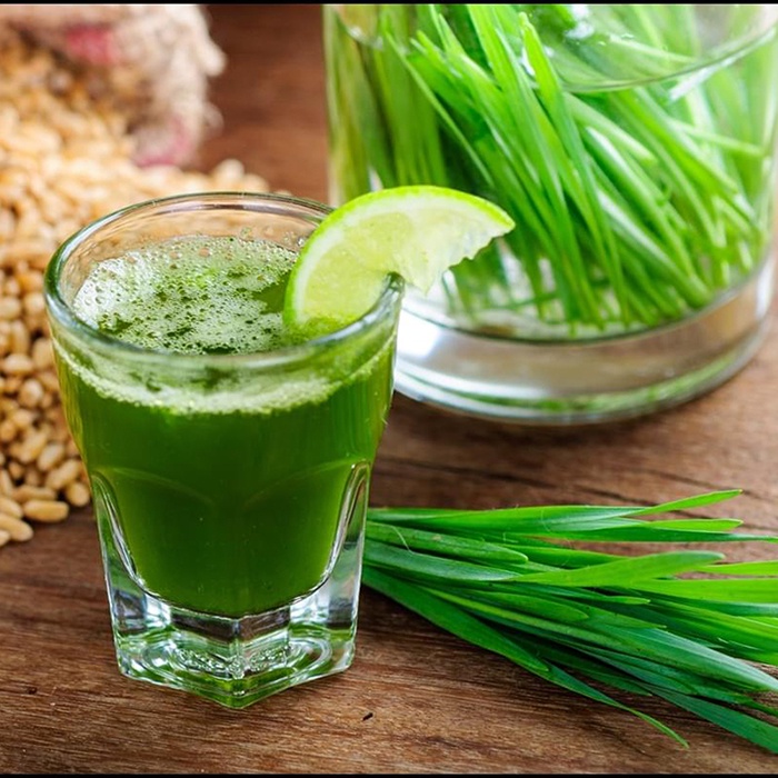 1Kg Bột cỏ lúa mì