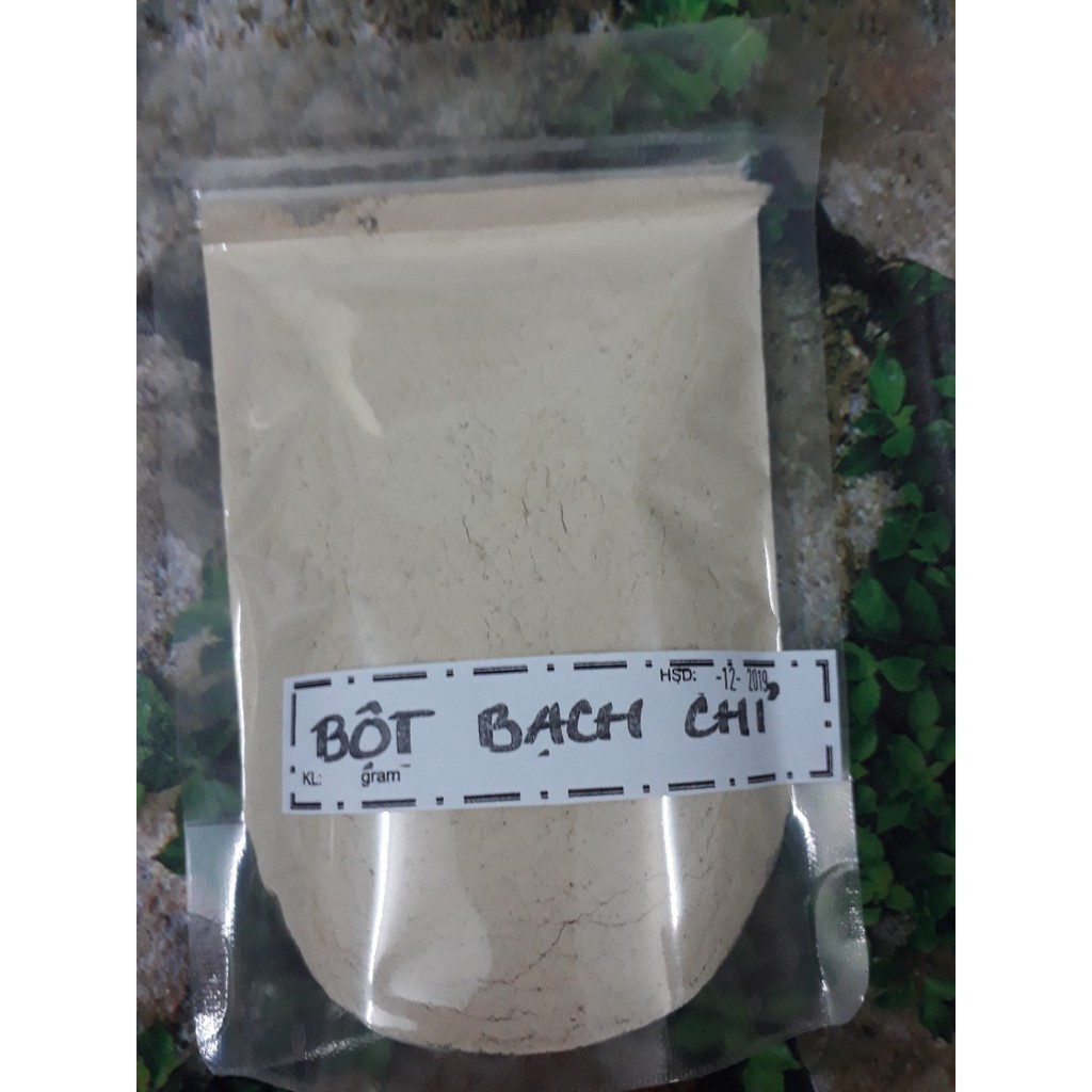 Bột bạch chỉ