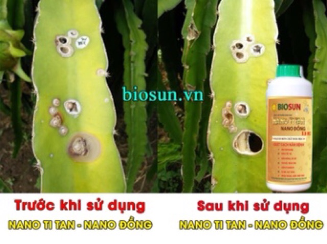 NANO ĐỒNG QUÉT SẠCH NẤM BỆNH