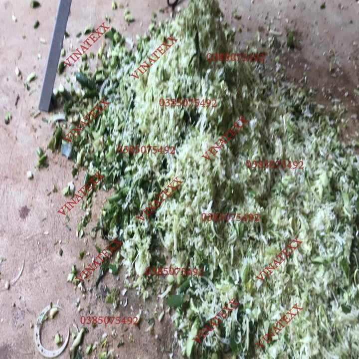 Máy băm bèo tây băm chuối cho heo gà vịt con