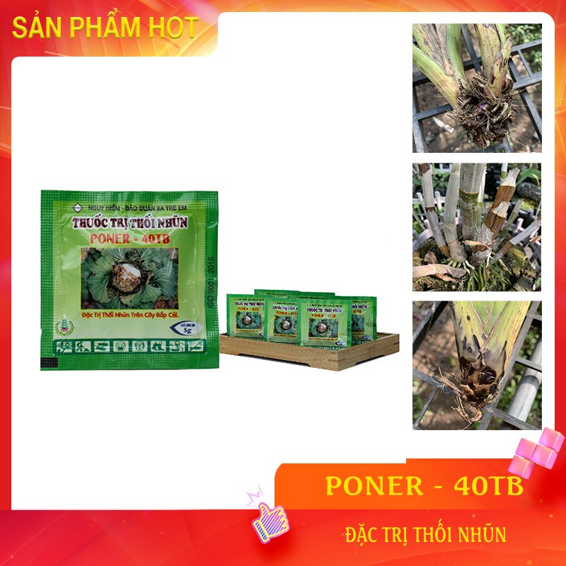 Chuyên Trị Thối Nhũn Cho Phong Lan (PONER)