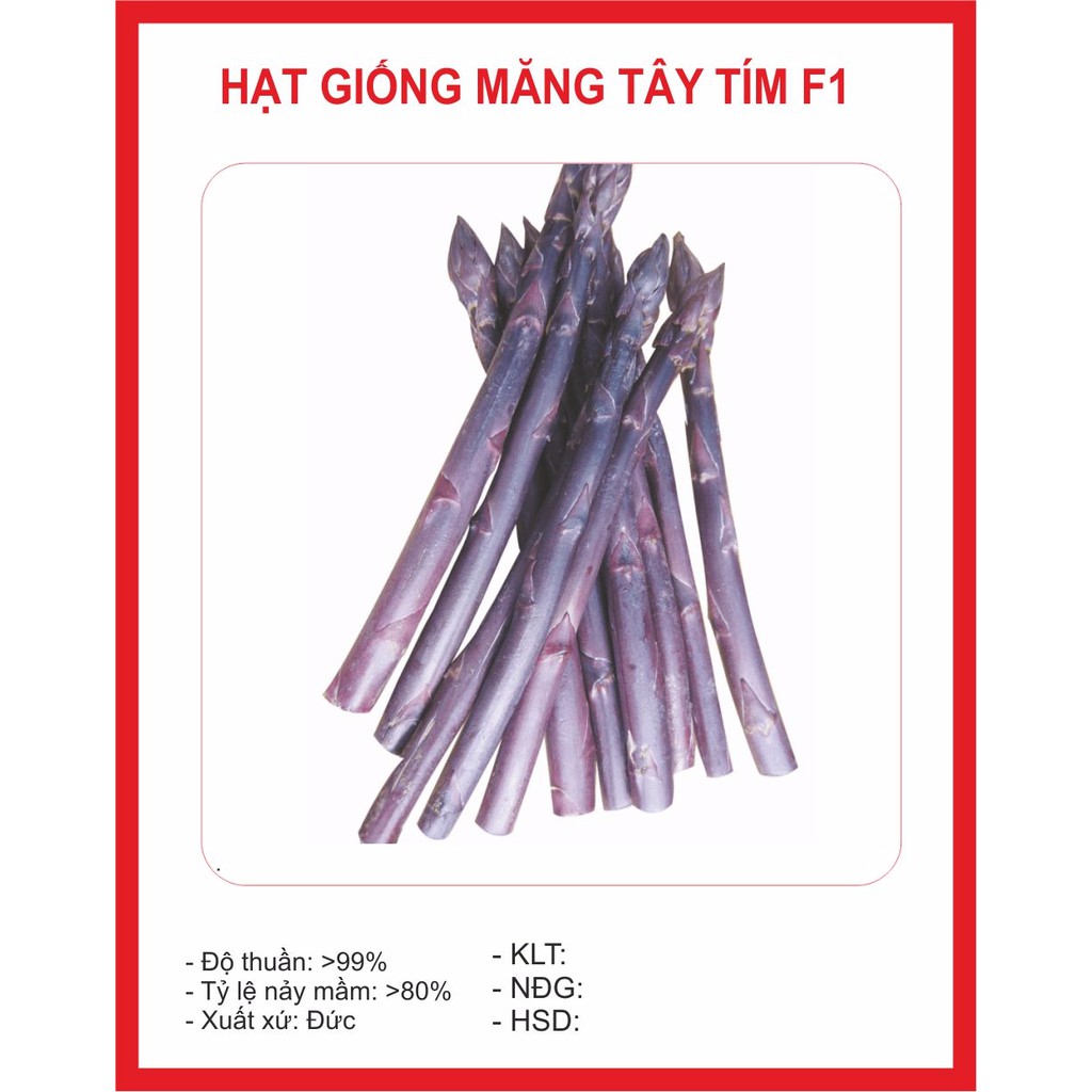 Hạt Giống Măng Tây Tím 10 hạt